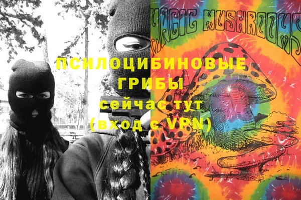 стаф Алексеевка
