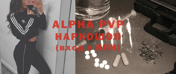 гашик Алексин