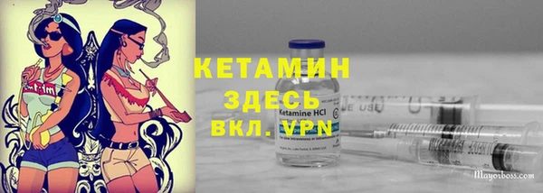 гашик Алексин