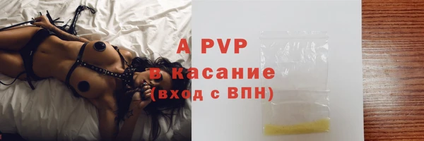 гашик Алексин