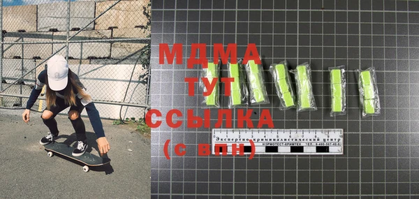 гашик Алексин