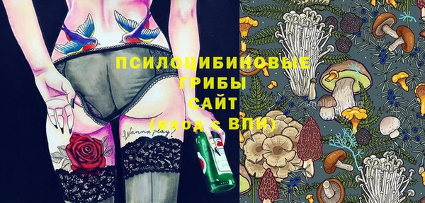 стаф Алексеевка
