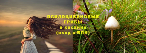 соль ск Алзамай