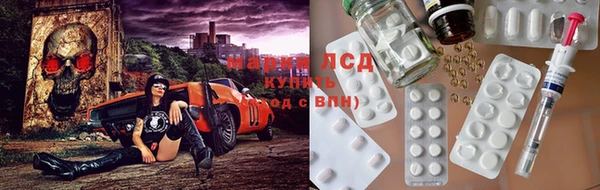 гашик Алексин