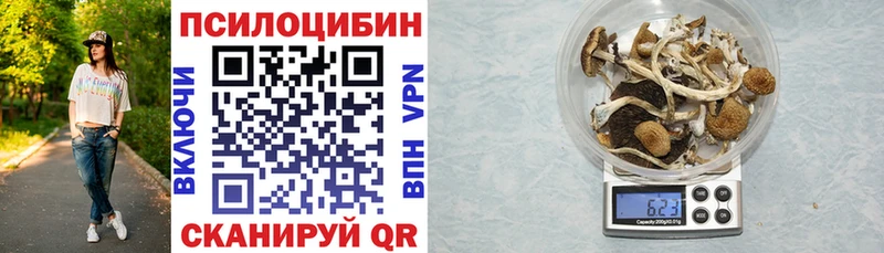 Галлюциногенные грибы GOLDEN TEACHER  Новоалександровск 