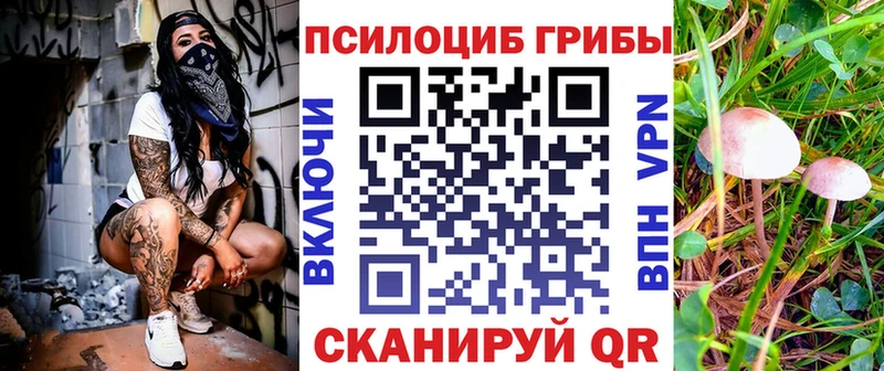 Галлюциногенные грибы Cubensis Новоалександровск