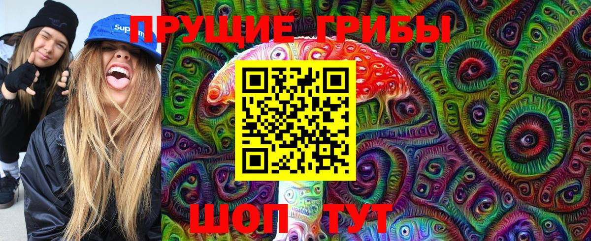 Псилоцибиновые грибы Cubensis  Вход с VPN  Псилоцибиновые грибы GOLDEN TEACHER  что такое   Новоалександровск 