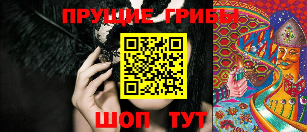 Галлюциногенные грибы мицелий Новоалександровск