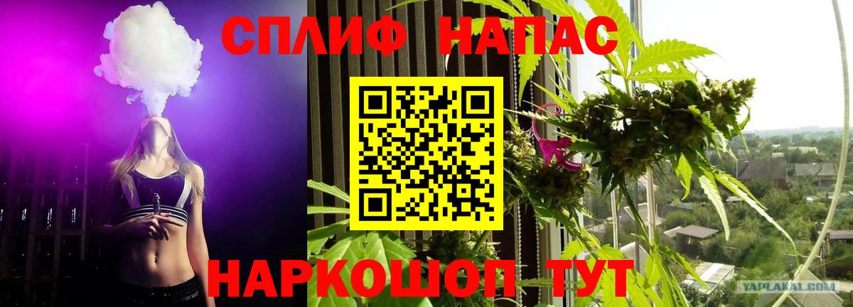 Бошки марихуана AK-47 Новоалександровск